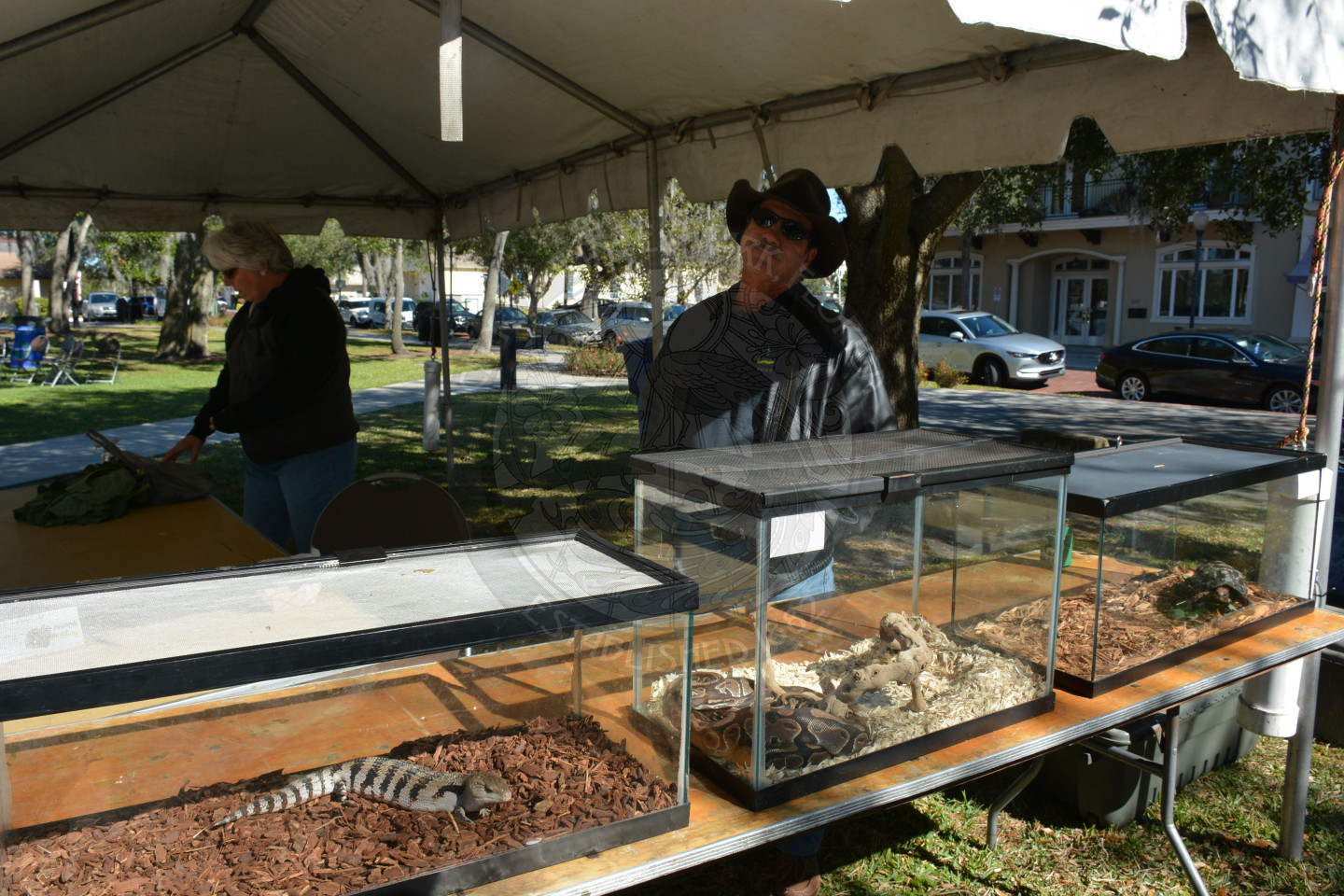 Gentleman in hat standing behind live reptiles in enclosed habitats as part of the Zoo Mom Science exhibit