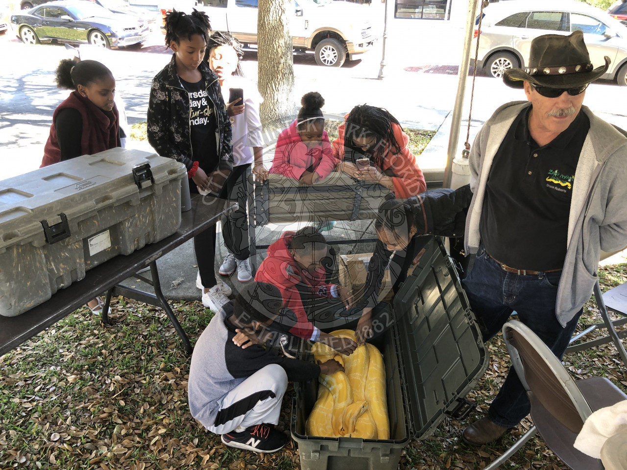 group of kids touching a snake in a container