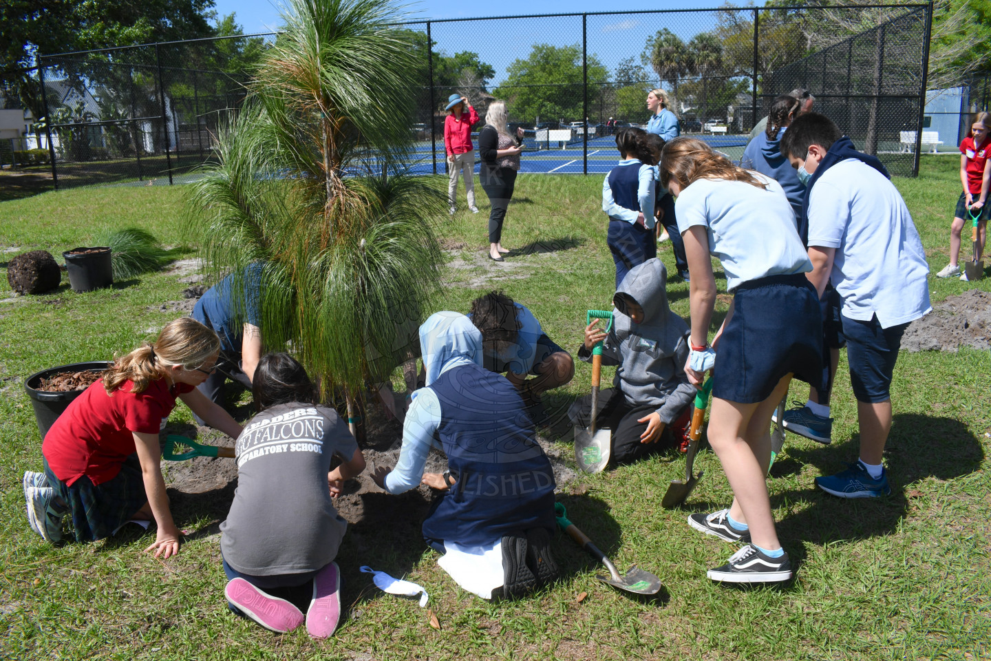 Group of kids planting pine tree