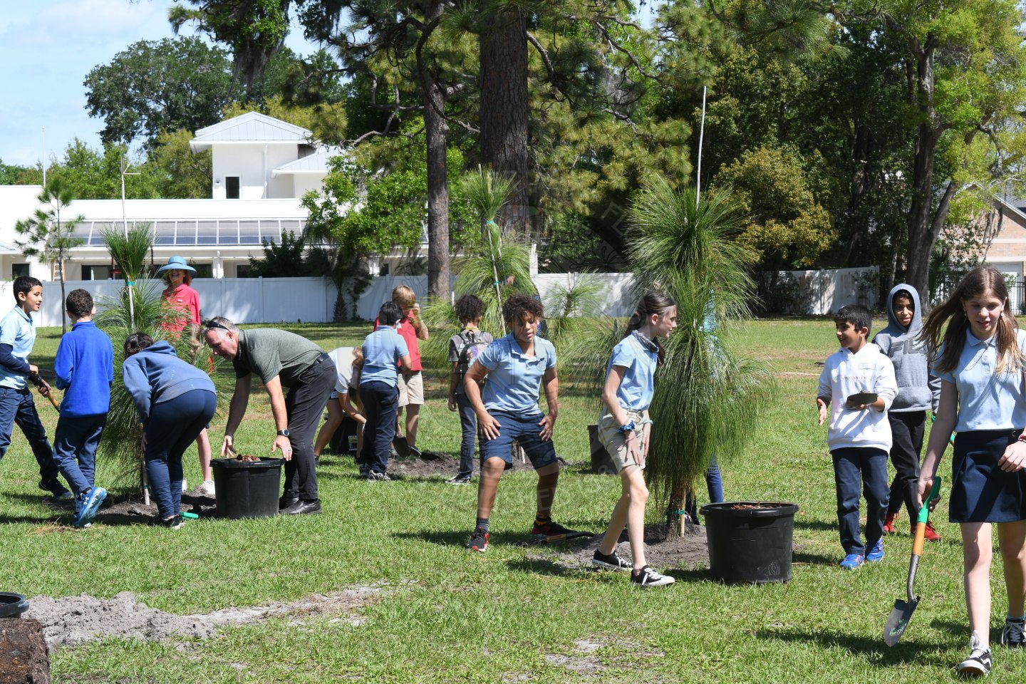 group of kids planting pine trees