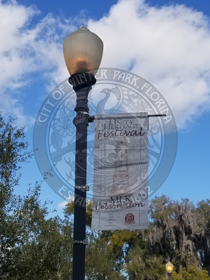 Unity Heritage Festival pole banner