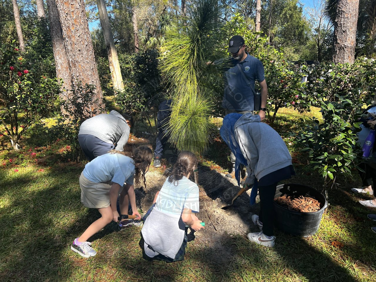 5 kids placing dirt over a tree to plant it properly