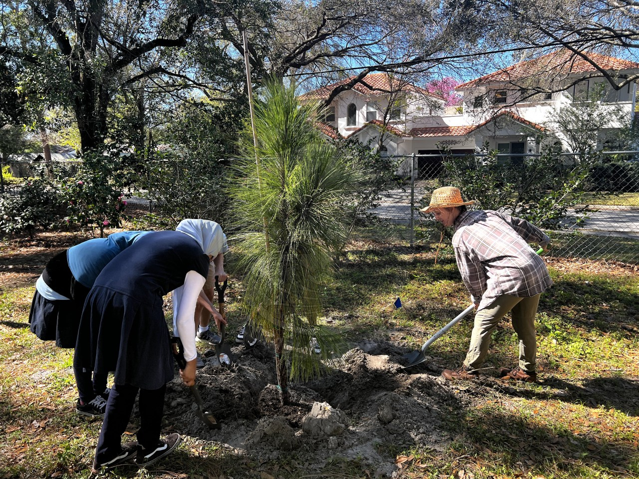 group of kids and a volunteer shoveling dirt into a hole to plant a tree.