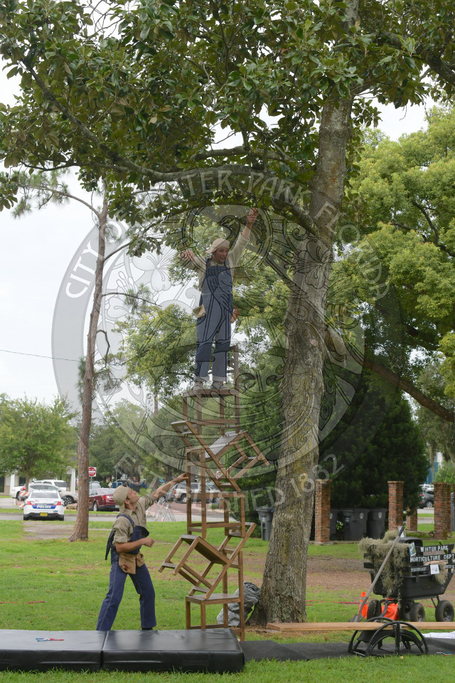 acrobat climbing a stack of chairs to reach a tree branch