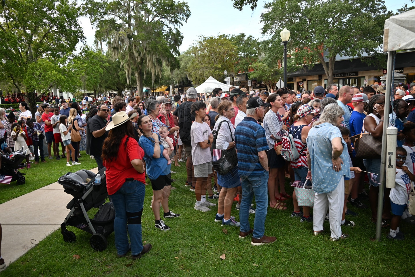 Large crowd gathers outdoors on grass, many holding flags, waiting in line for cake and ice cream near tents under trees.