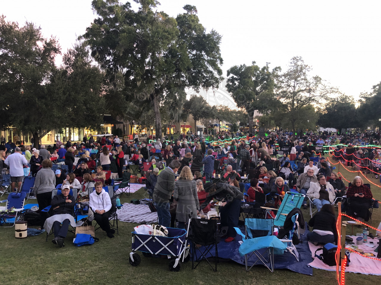 people sitting in Central Park for Christmas in the Park
