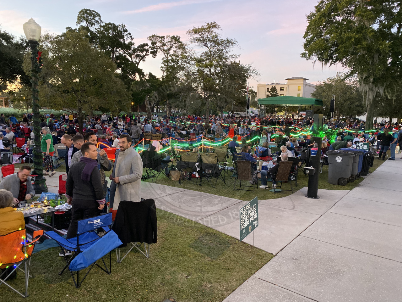 crowd at Christmas in the Park