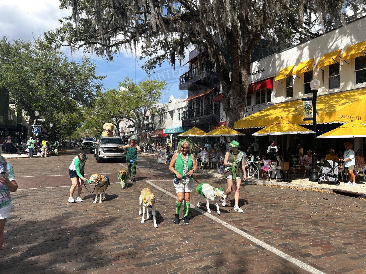 Group of women walking golden retrievers down park avenue in the parade with a truck behind them. In the truck of the bed is a Golden Retriever inflatable.