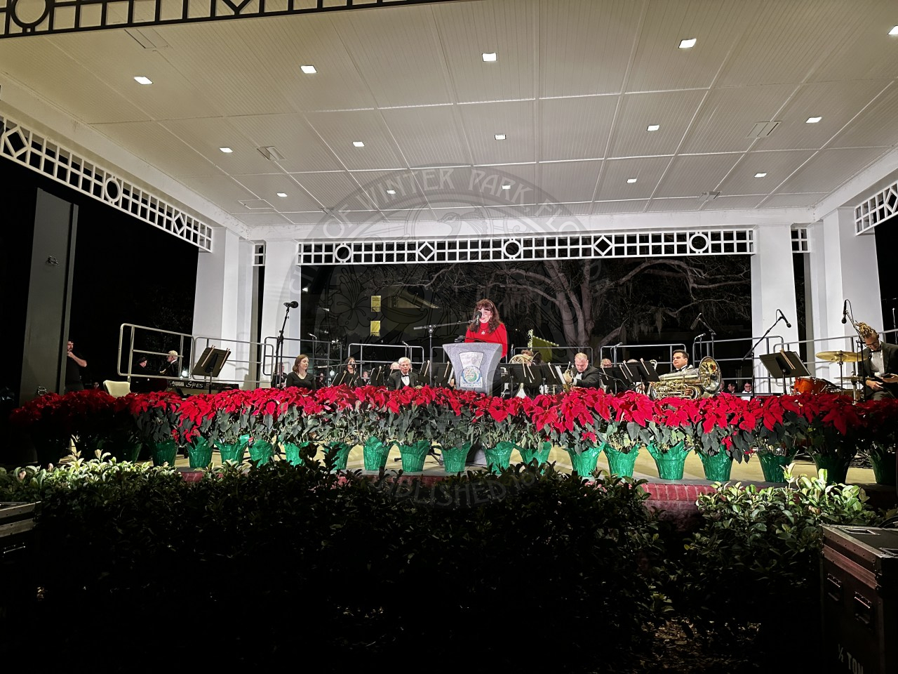 Commissioner Sheila DeCiccio standing on a stage with red poinsettias at the front behind a podium with a band behind her talking to a crowd.