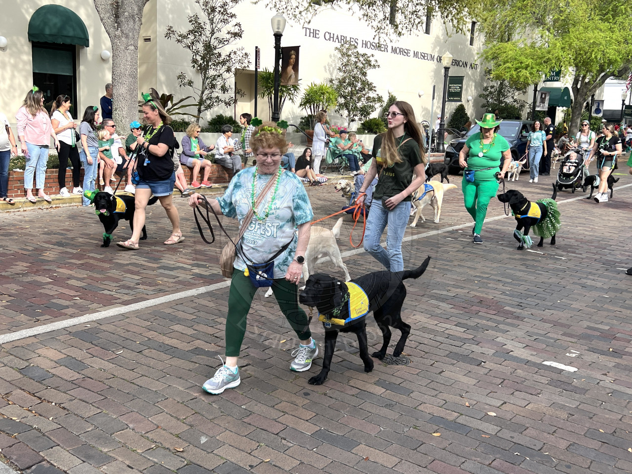 women wlaking with service dogs down Park Avenue.