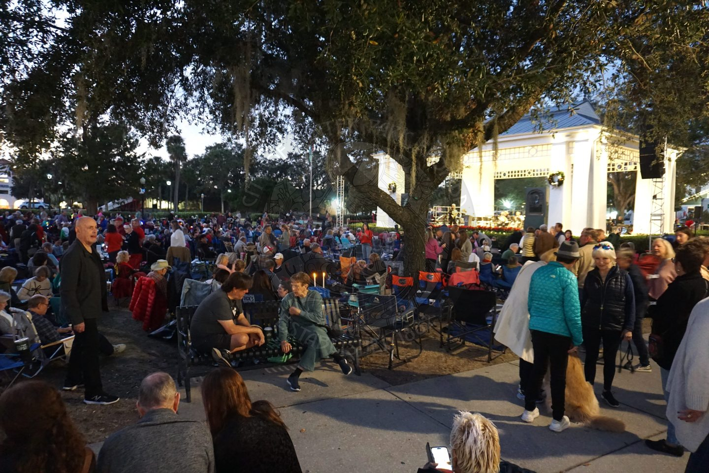 side view of the pack crowd sitting in the field awaiting the performance of the band.