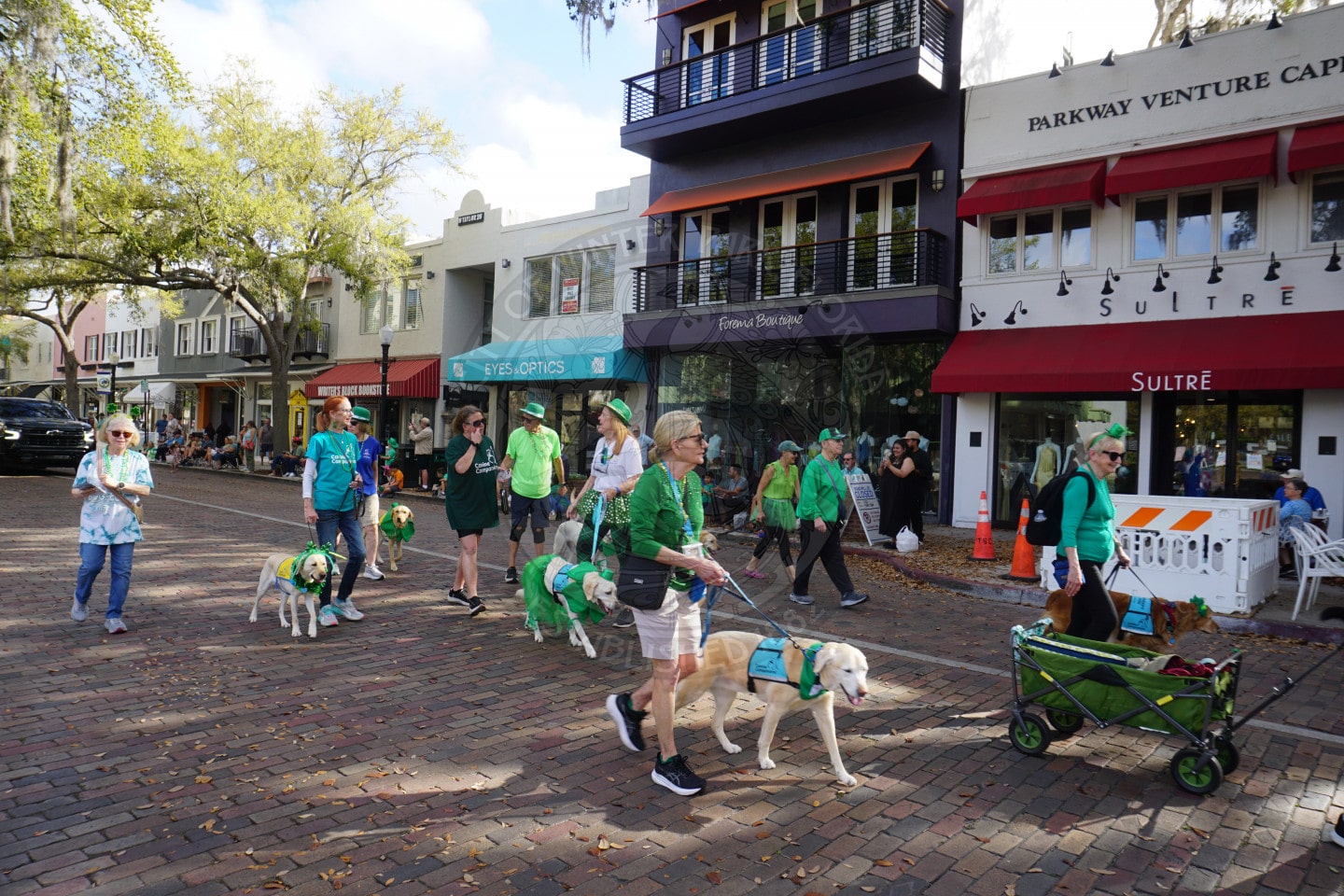 A group of people wearing green and walking dogs, also dressed in green, parades down a brick street lined with shops. Spectators watch from the sidewalk, and a person pulls a wagon with supplies.