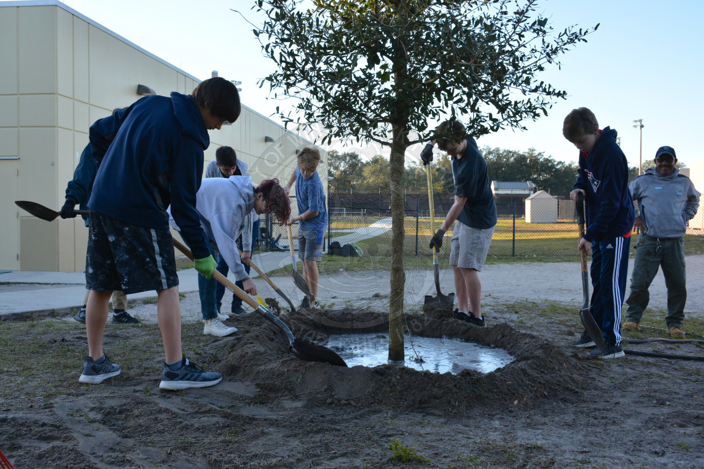 Group of students surrounding a newly planted tree holding shovels and adding dirt to the base of the tree