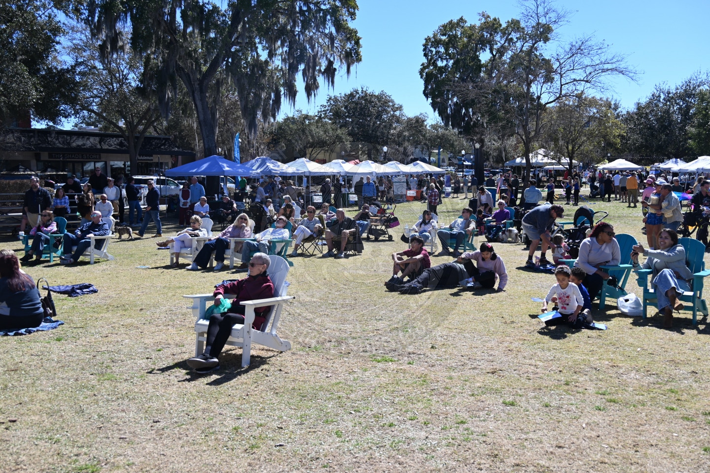 People sit on lawn chairs and blankets in an open grassy area at an outdoor event, with vendor tents and trees in the background under a clear blue sky.