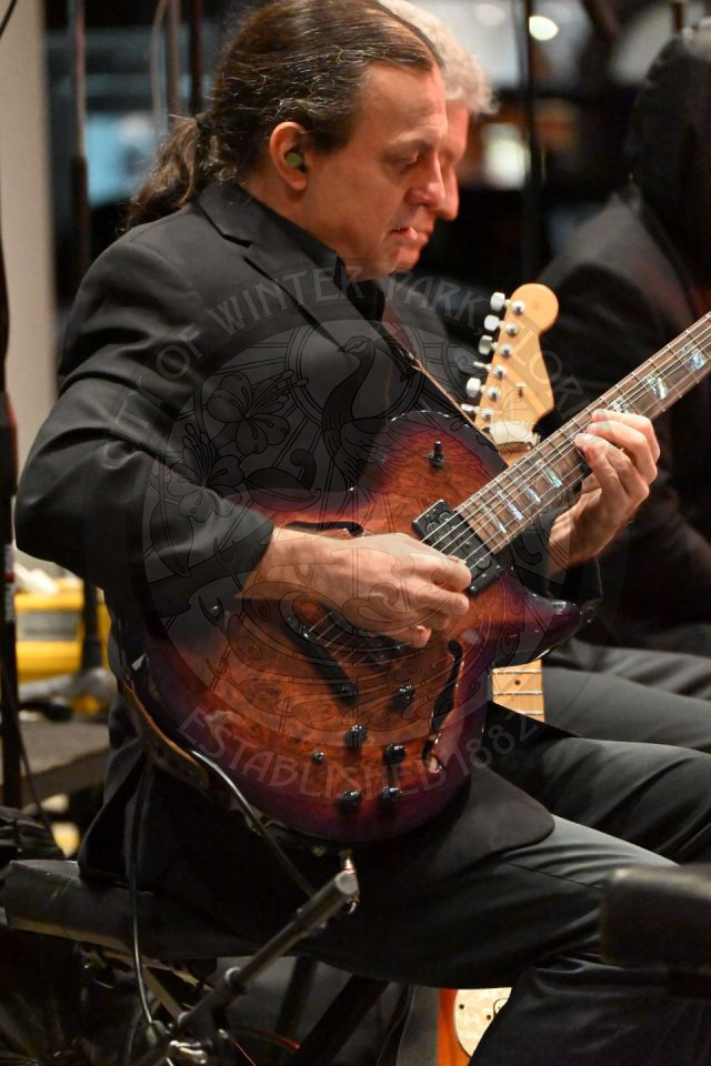 a guitarist playing his instrument.