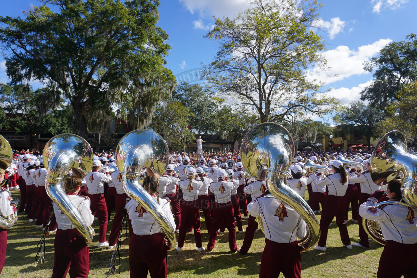 FSU band from behind while they are performing