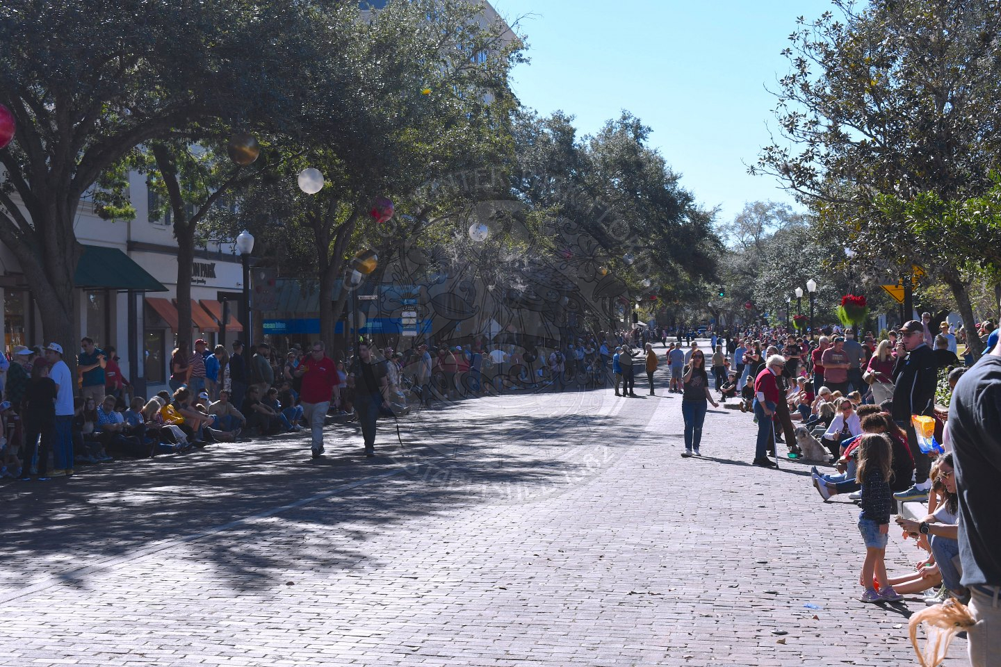 Park Avenue sidewalks packed with people waiting for both bands to march down for the Parade of Bands
