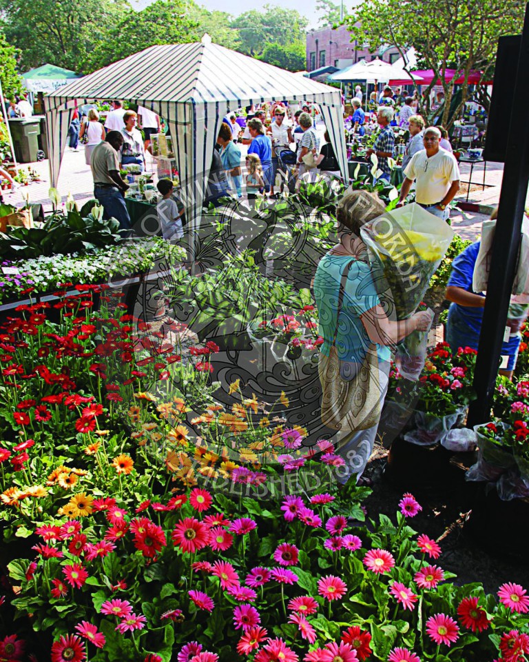 Colorful flowers for sale at the farmers market with a lady holding a bunch in her arms