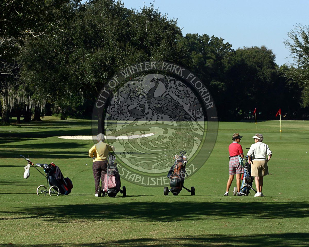 Three golfers looking down the fairway wit their golf bags beside them