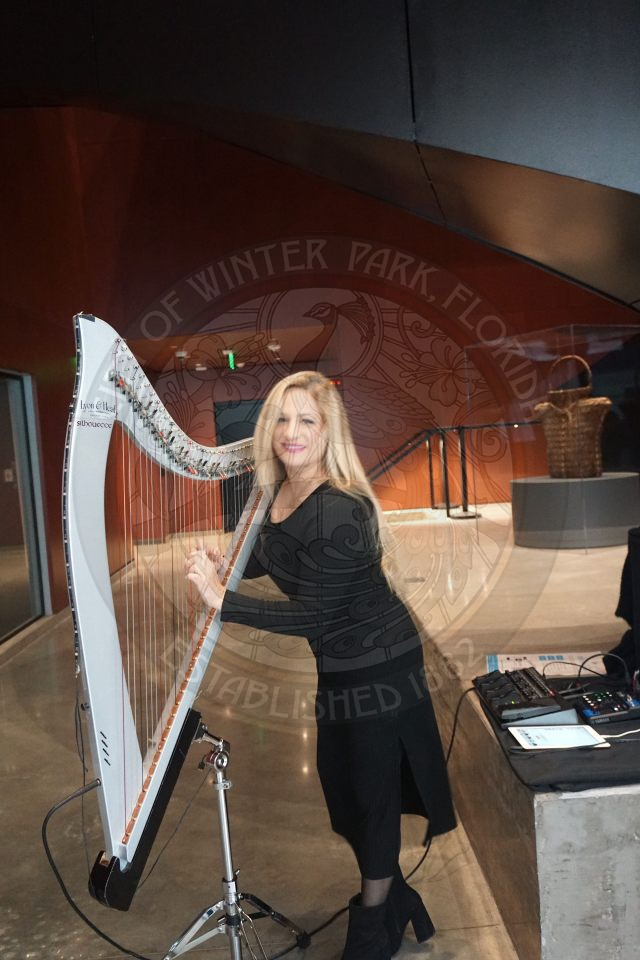 A lady playing the harp