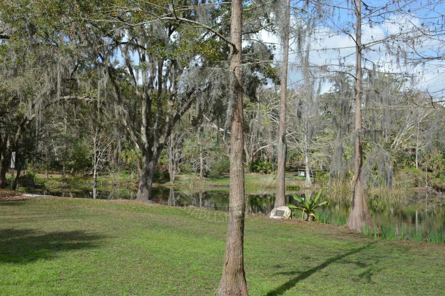 CWP_0151