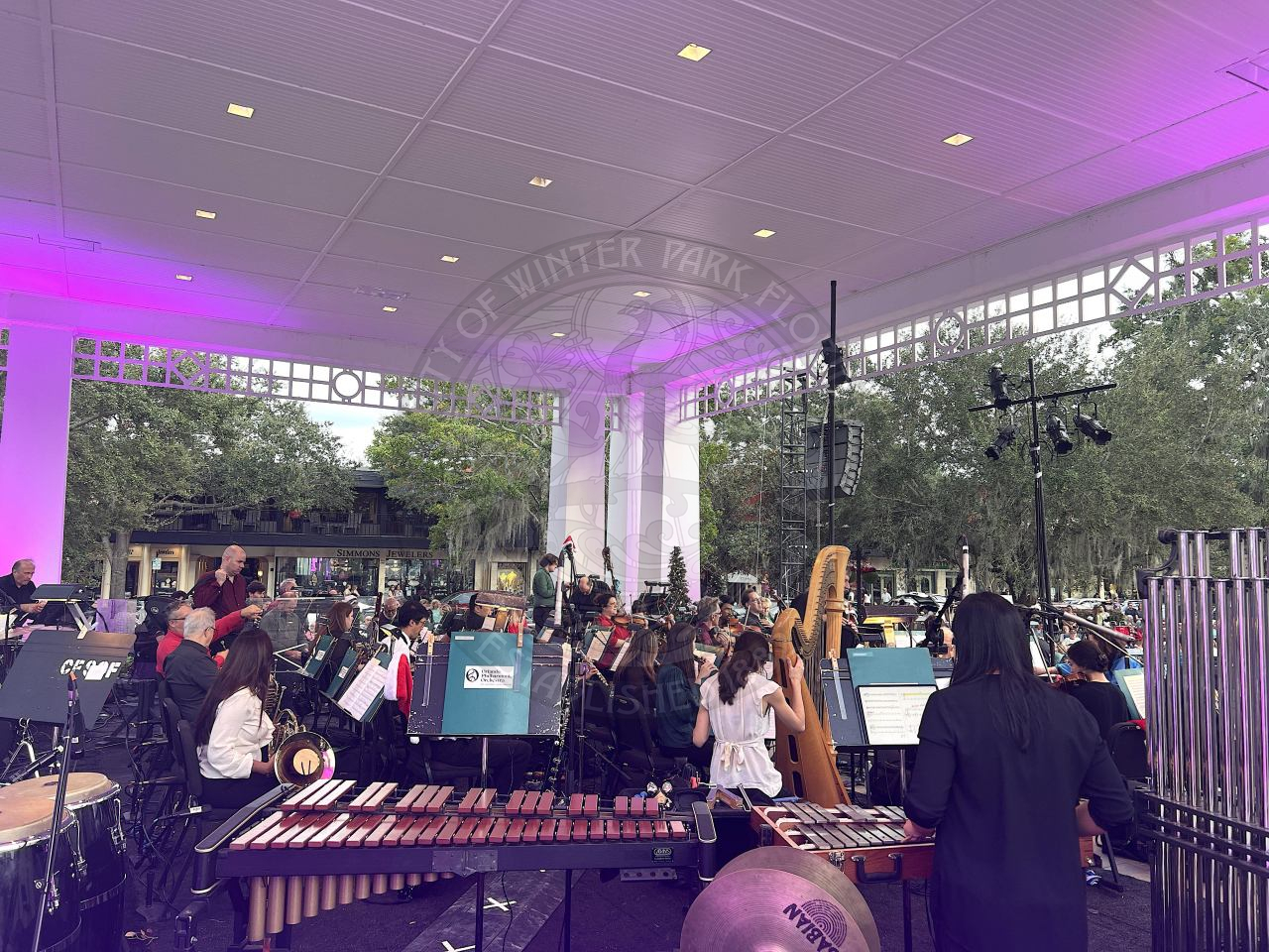 A view from behind the stage overlooking the crowd out in Central Park