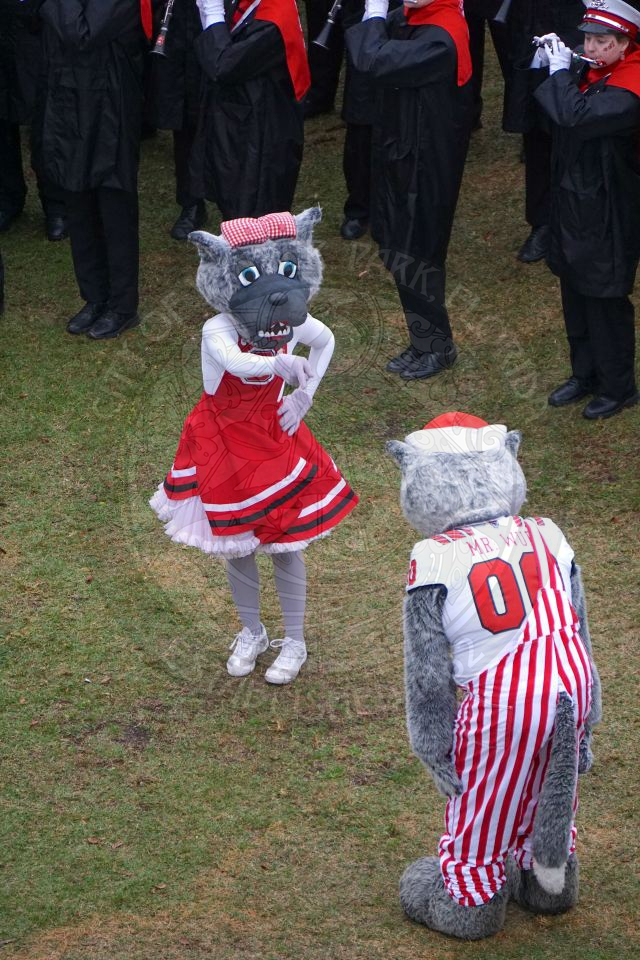 Mrs. Wolf point at Mr. Wolf