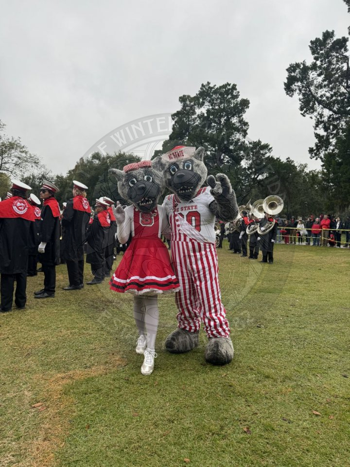 Mr. and Mrs. Wolf posing 