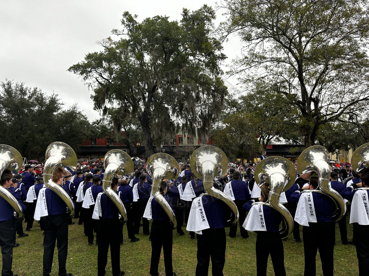 A view of the tuba line from behind.