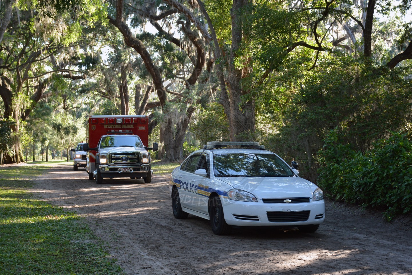 WPPD Run for the Trees 1