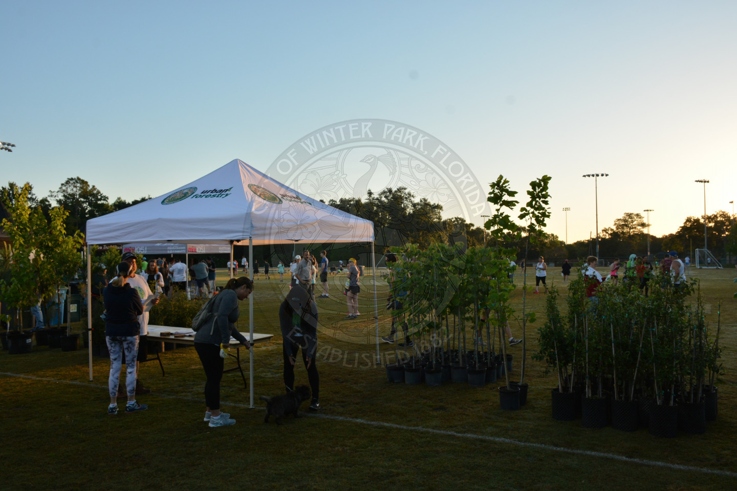 Urban Forestry employees set up a 10 x 10 tent along side potted tree-sapling giveaways