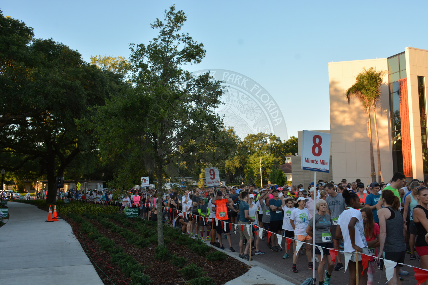 Hundreds of runners ready to start the race by lined by signs that indicate 9 minute and 8 minute miles.