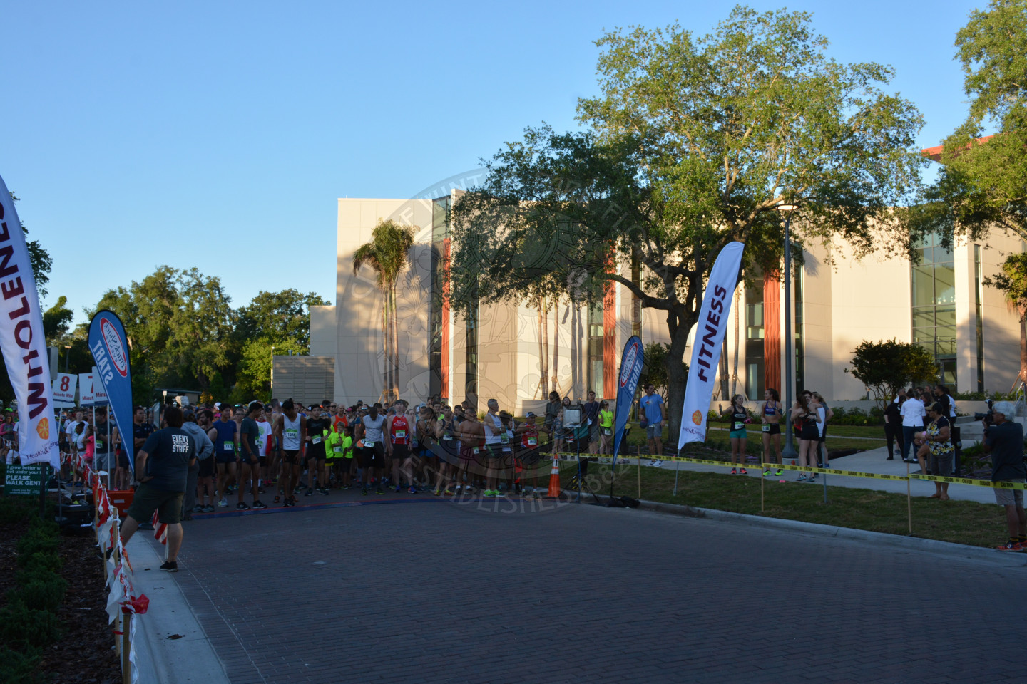 Runners at the start line of the race ready to begin.