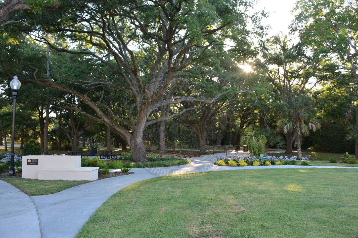 View of Ward Park showing beautiful oak trees, lawn and new landscaping.