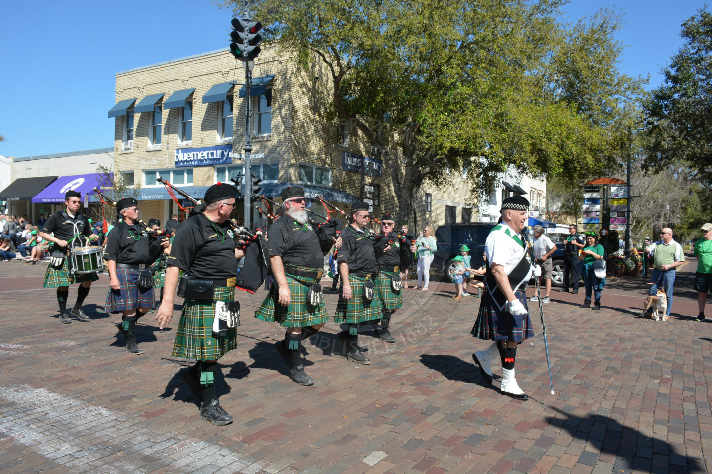 group of bagpipers walking in the parade wearing kilts