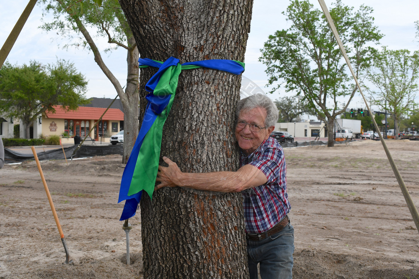 Man hugging tree