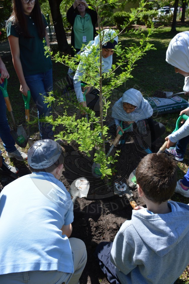 CWP_1252