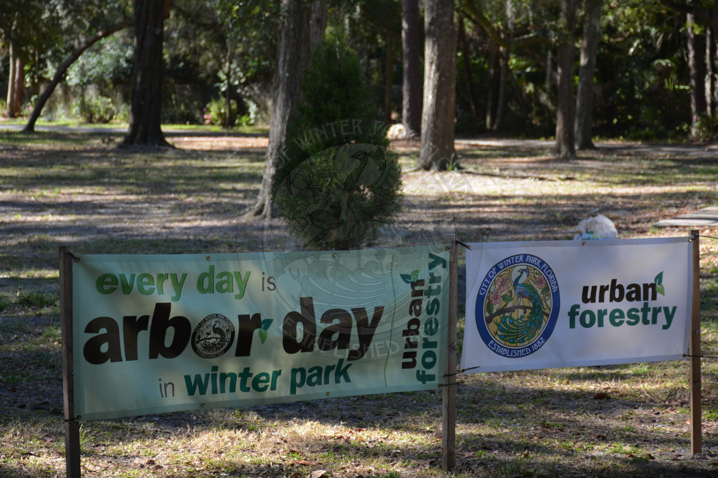 Display of banner that reads Every Day is Arbor Day in Winter Park - Urban Forestry