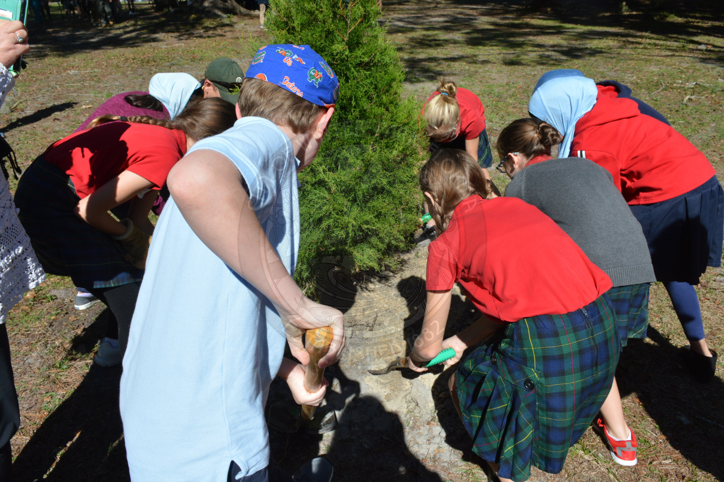 Students with shovels surrounding a newly planted tree and placing dirt over the hole with shovels