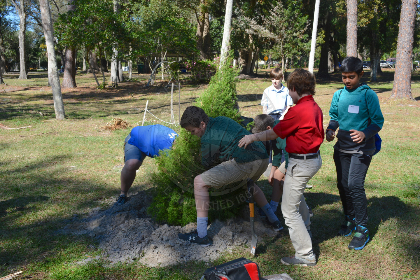 four students helping plant a new tree