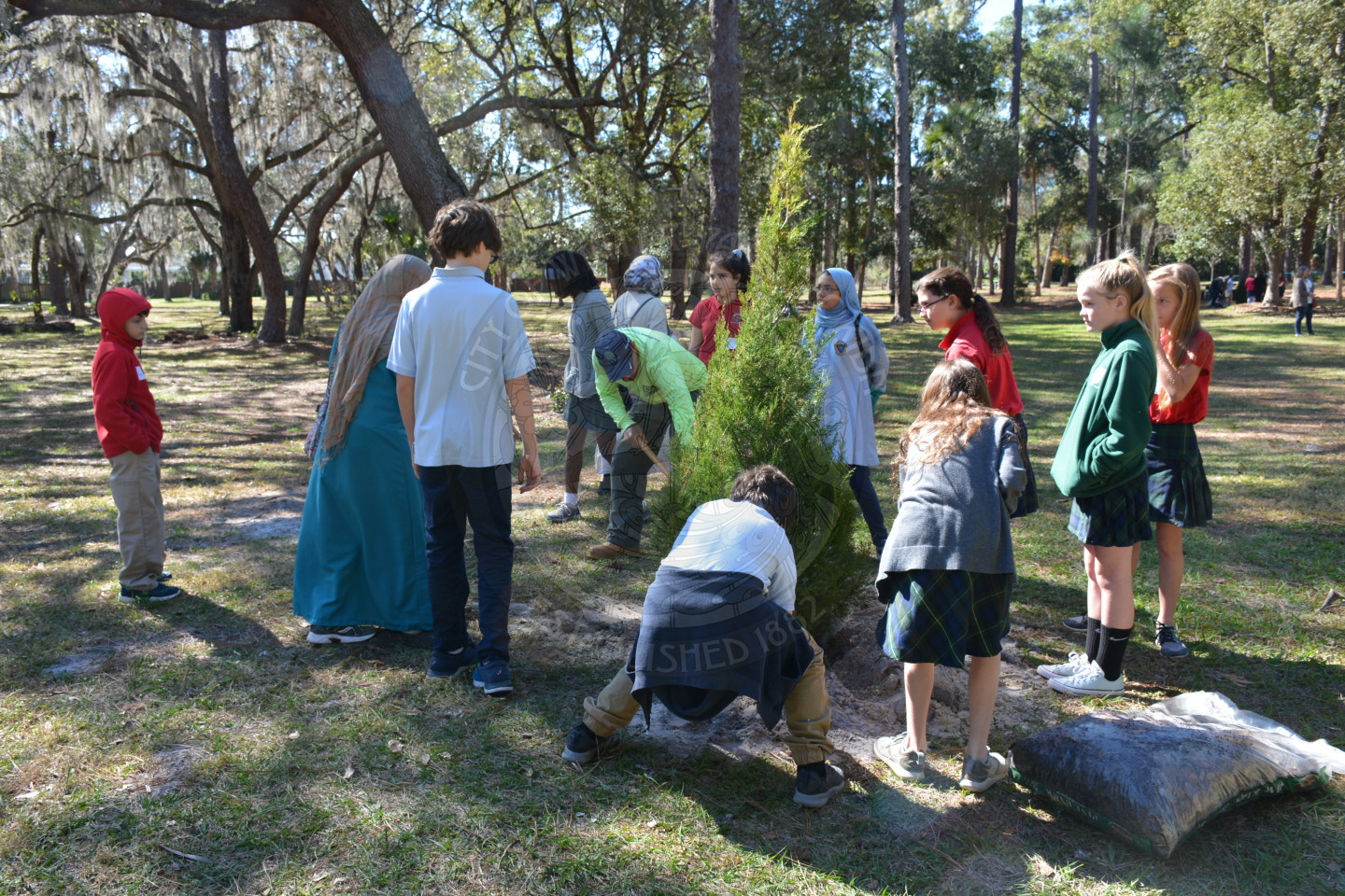 Students surrounding a tree helping place it in the hole and shoveling dirt atop the ground