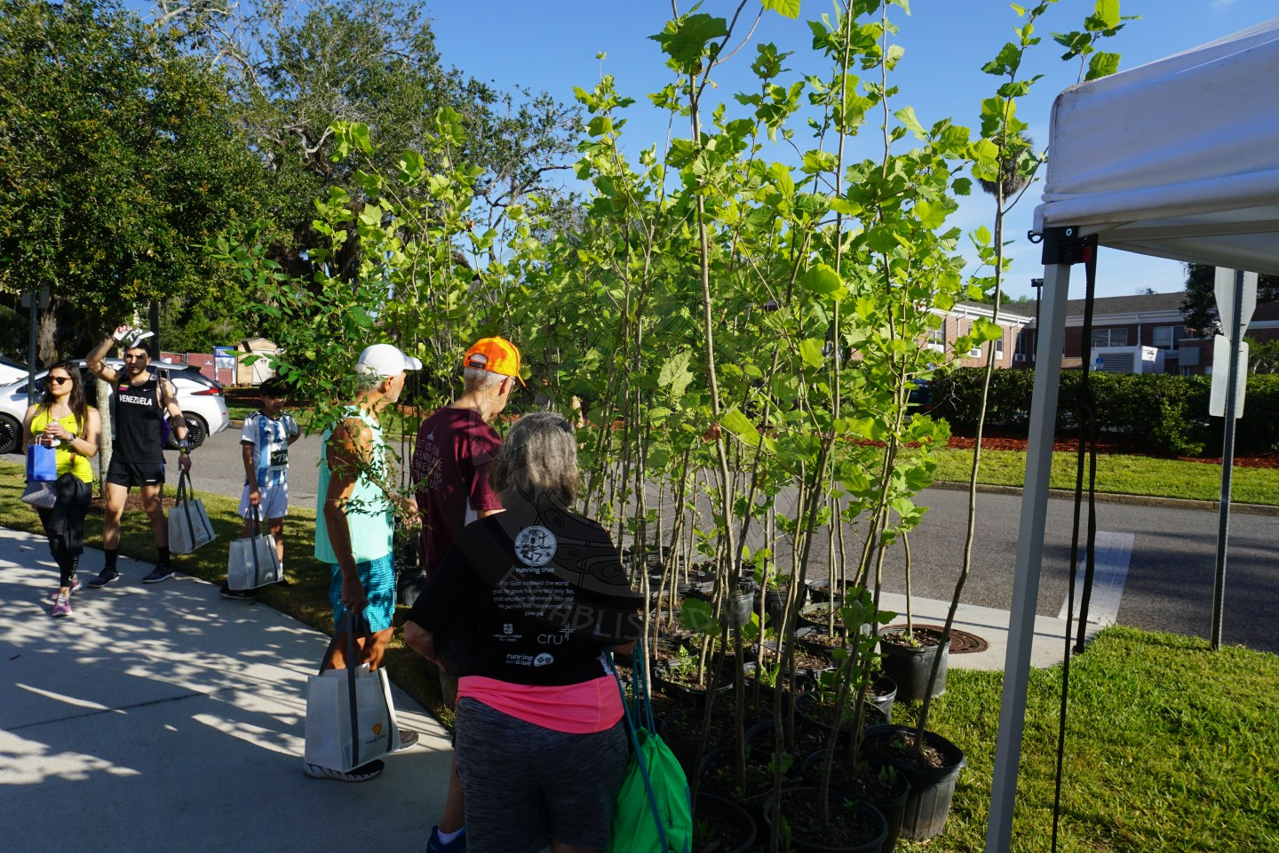 People standing in front of potted trees that are taller than them. They are in th emiddle of grabbing one to take home.