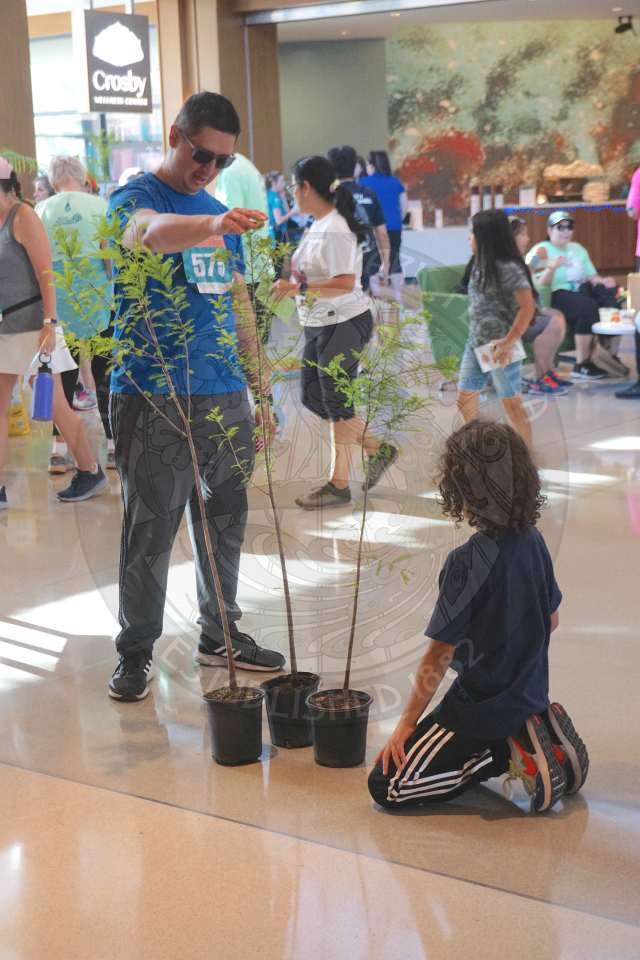 three potted trees inside with a boy kneeling down examining them