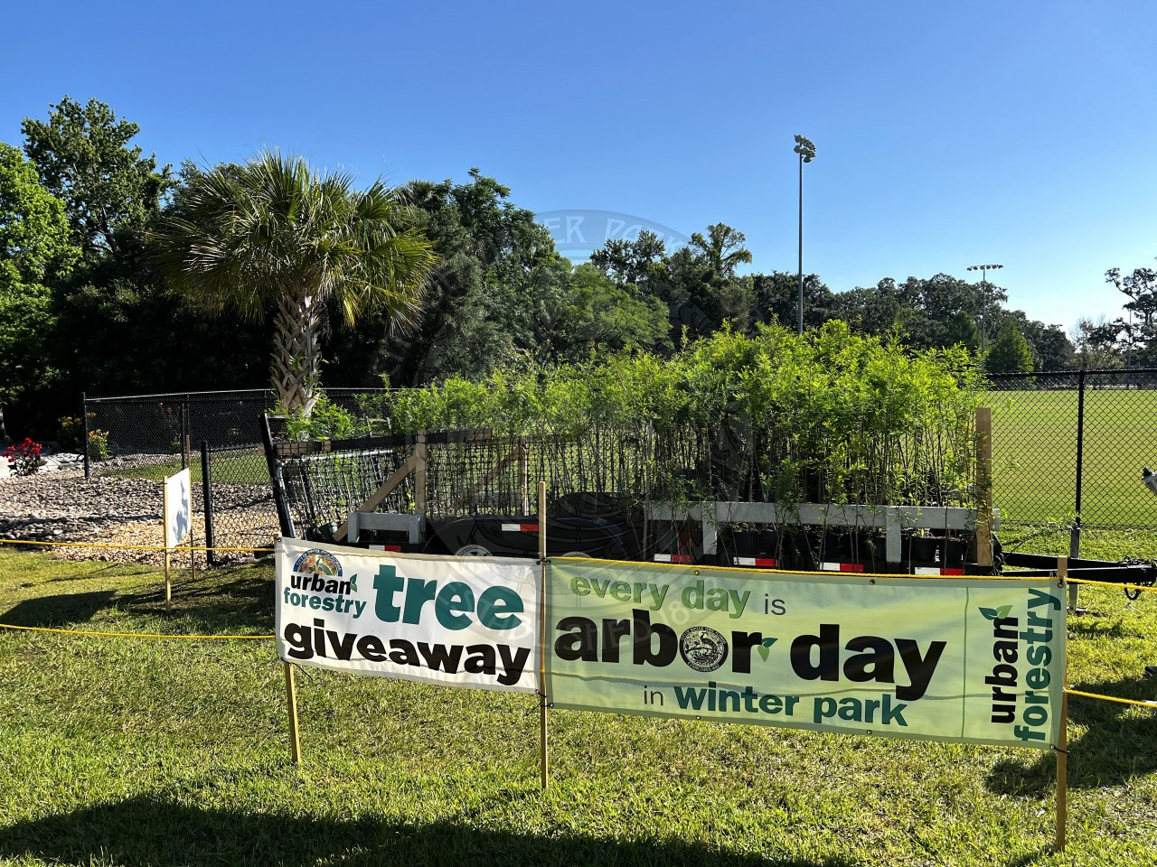 Tree Giveaway sign with free trees behind it