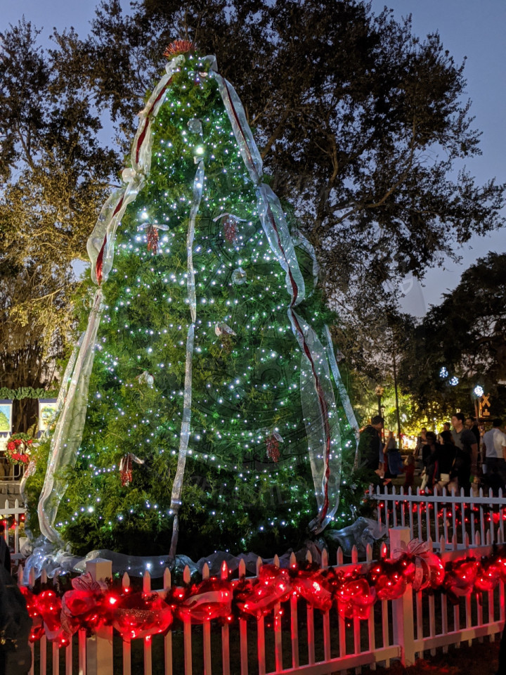 Winter Park holiday tree lit up and decorated
