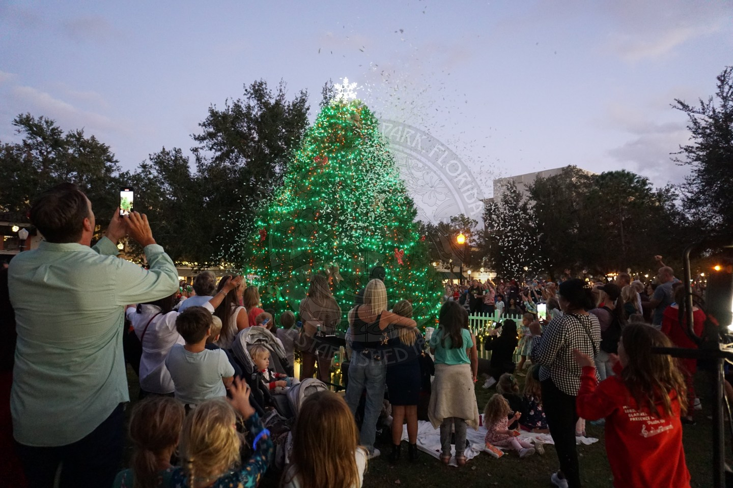 lit Christmas tree with people standing in front of taking pictures