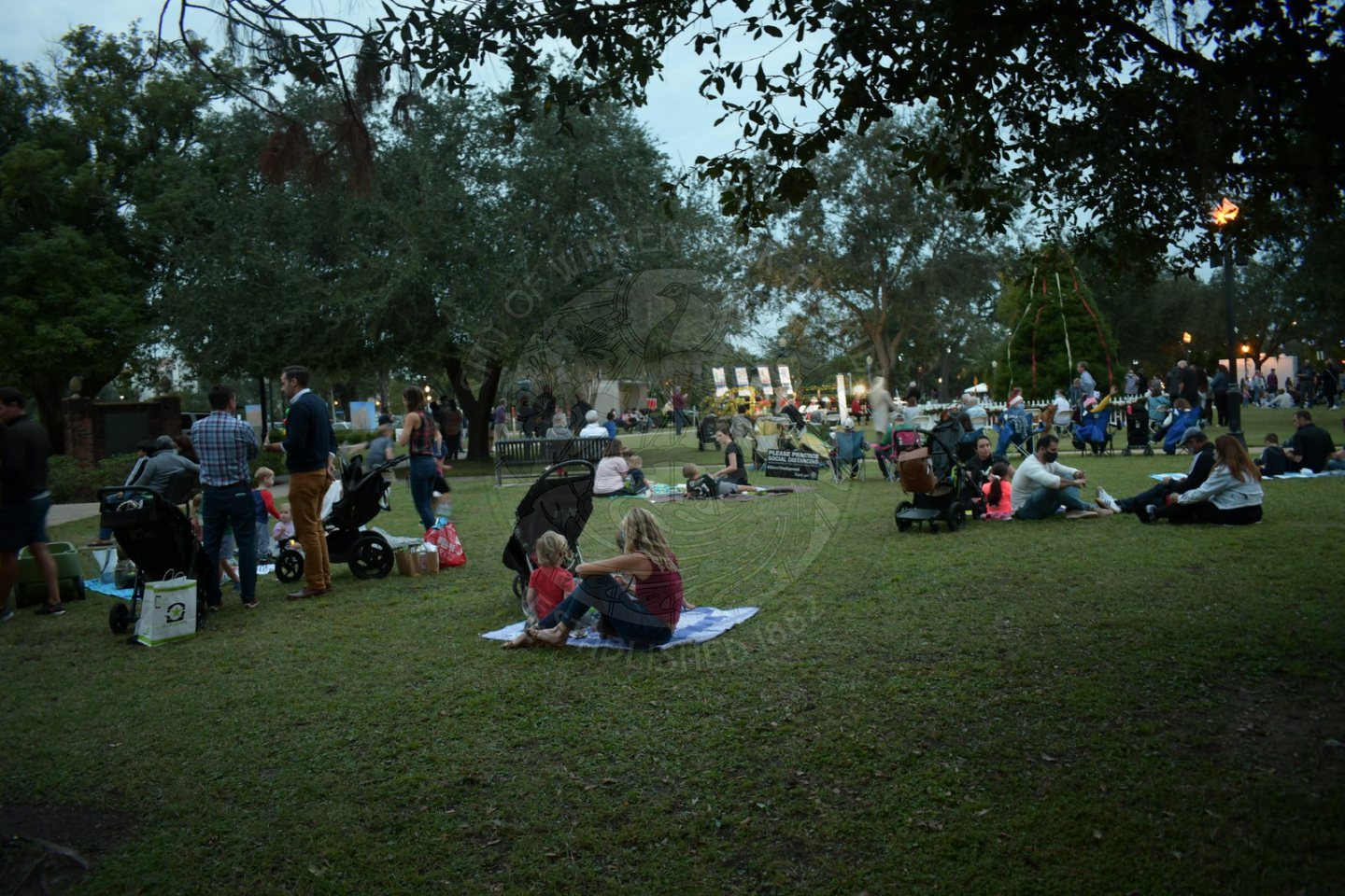 people sitting outside in groups