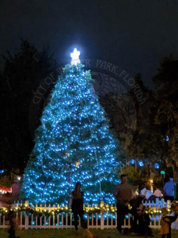 holiday tree in Central Park