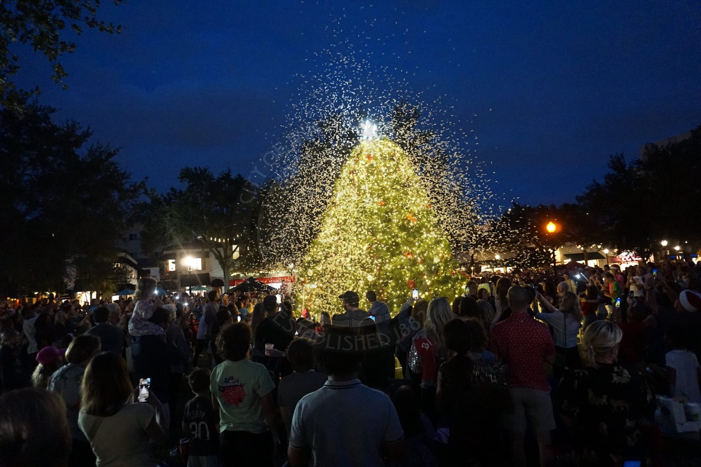 It is dark outside and the christmas tree has just been turned on and is shining bright with a bunch of white confetti surrounding the live christmas tree. Everyone standing around it is cheering and clapping.