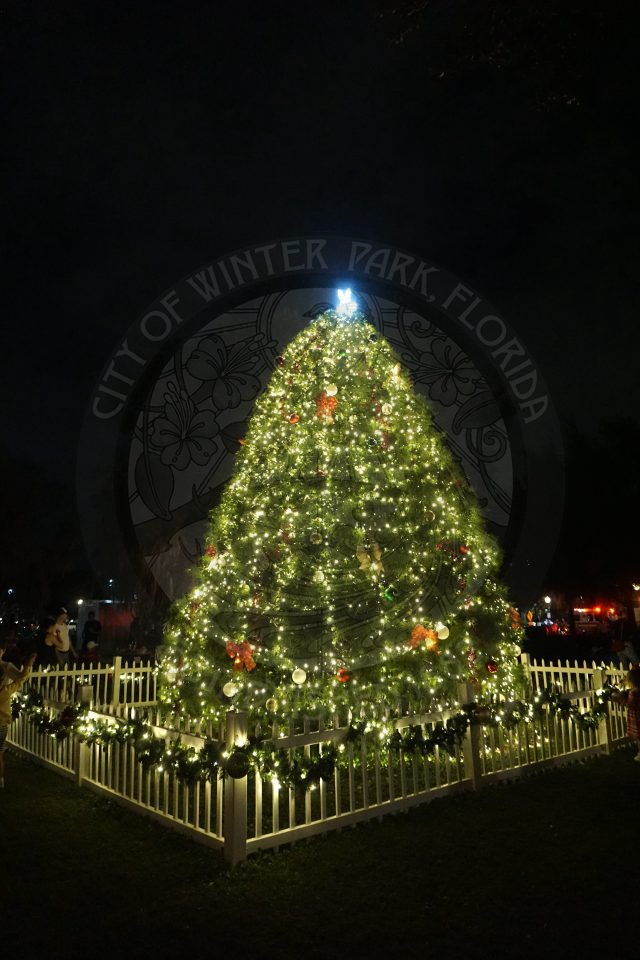The Park Avenue Christmas Tree lit up with all white lights and red bows.